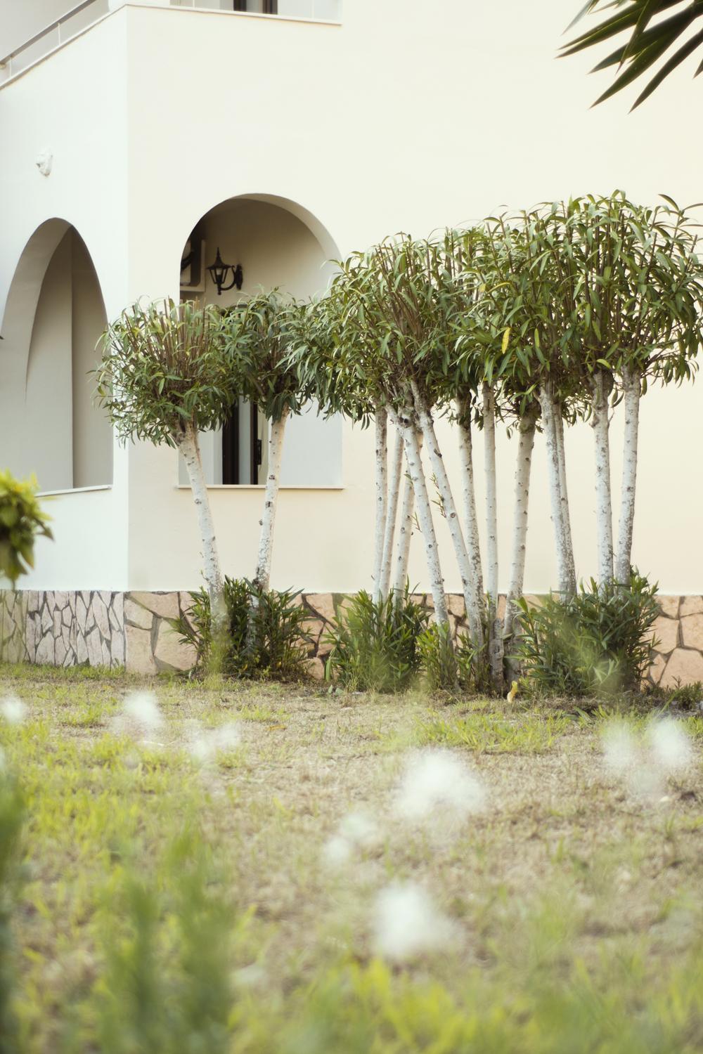 Parakladi Seaside Retreat